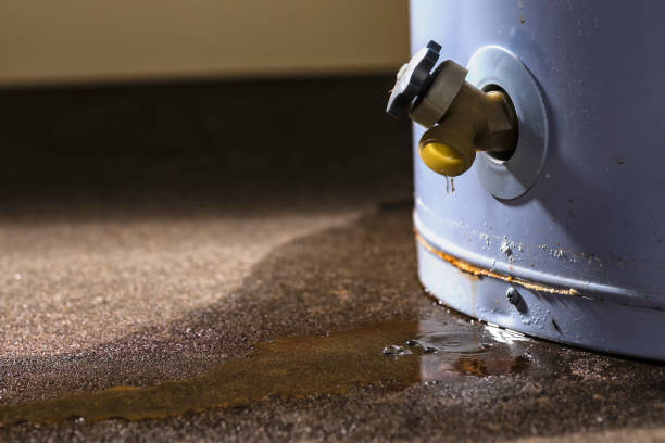 Best Local water damage restoration  in Peoria, AZ