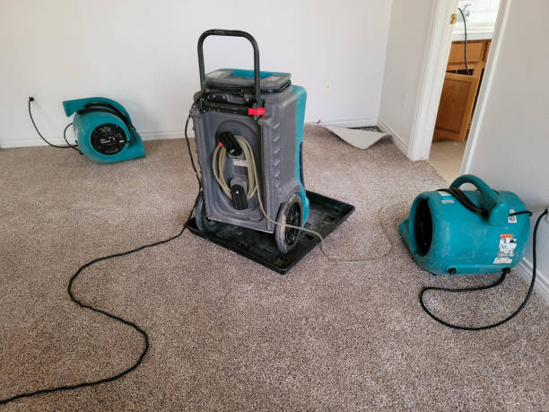 Best Water damage restoration near me  in Peoria, AZ