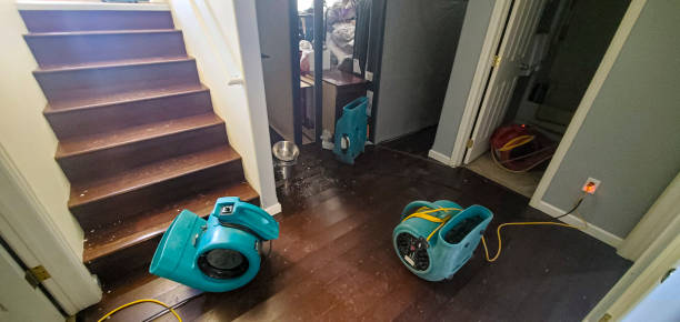 Best Flood damage cleanup  in Peoria, AZ