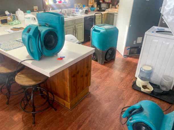 Best Flooded house restoration  in Peoria, AZ