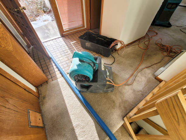 Best Basement water damage restoration  in Peoria, AZ