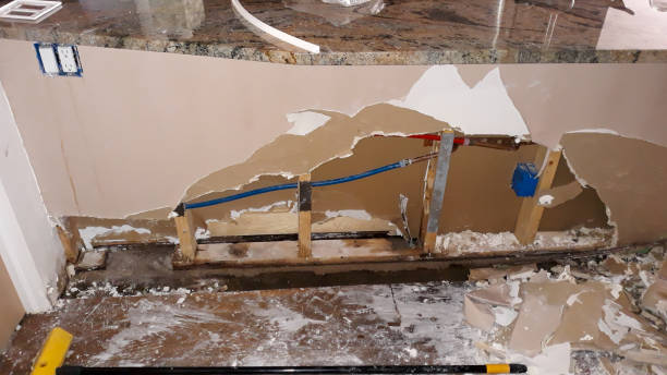 Best Carpet water damage restoration  in Peoria, AZ