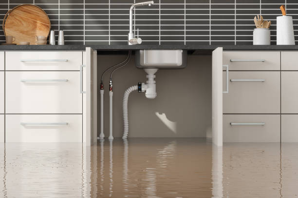 Best 24/7 water damage repair  in Peoria, AZ