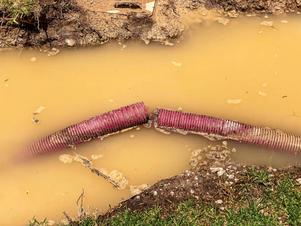 Best Water damage restoration process  in Peoria, AZ